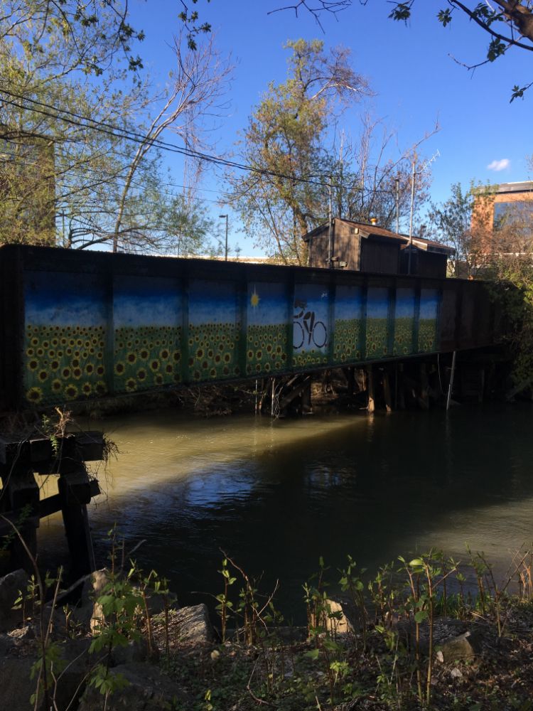 Onondaga_Creekwalk_Bridge_Cycling_Woman.JPG