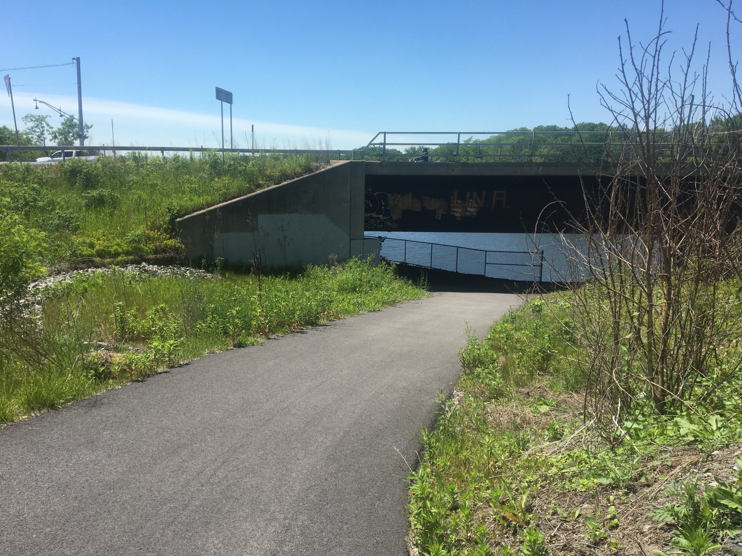 Freemans_Bridge_Underpass.JPG