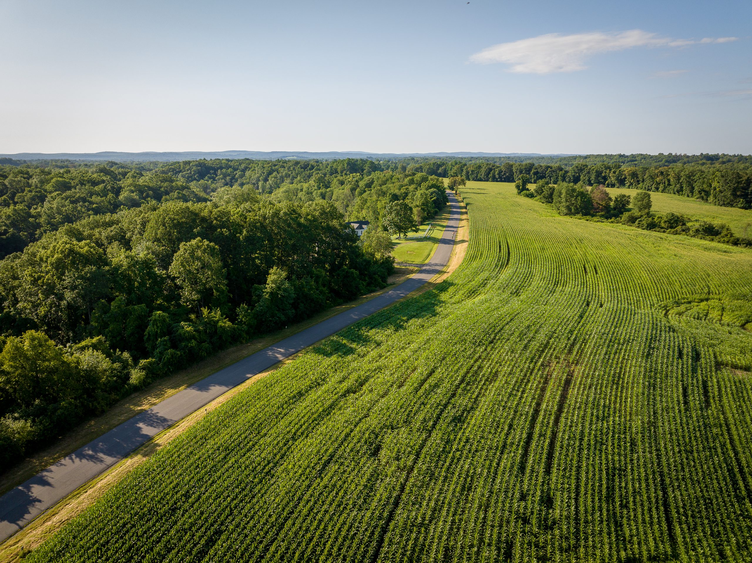An aerial view of a curved road with a wooded area to the left and farm land on the right.