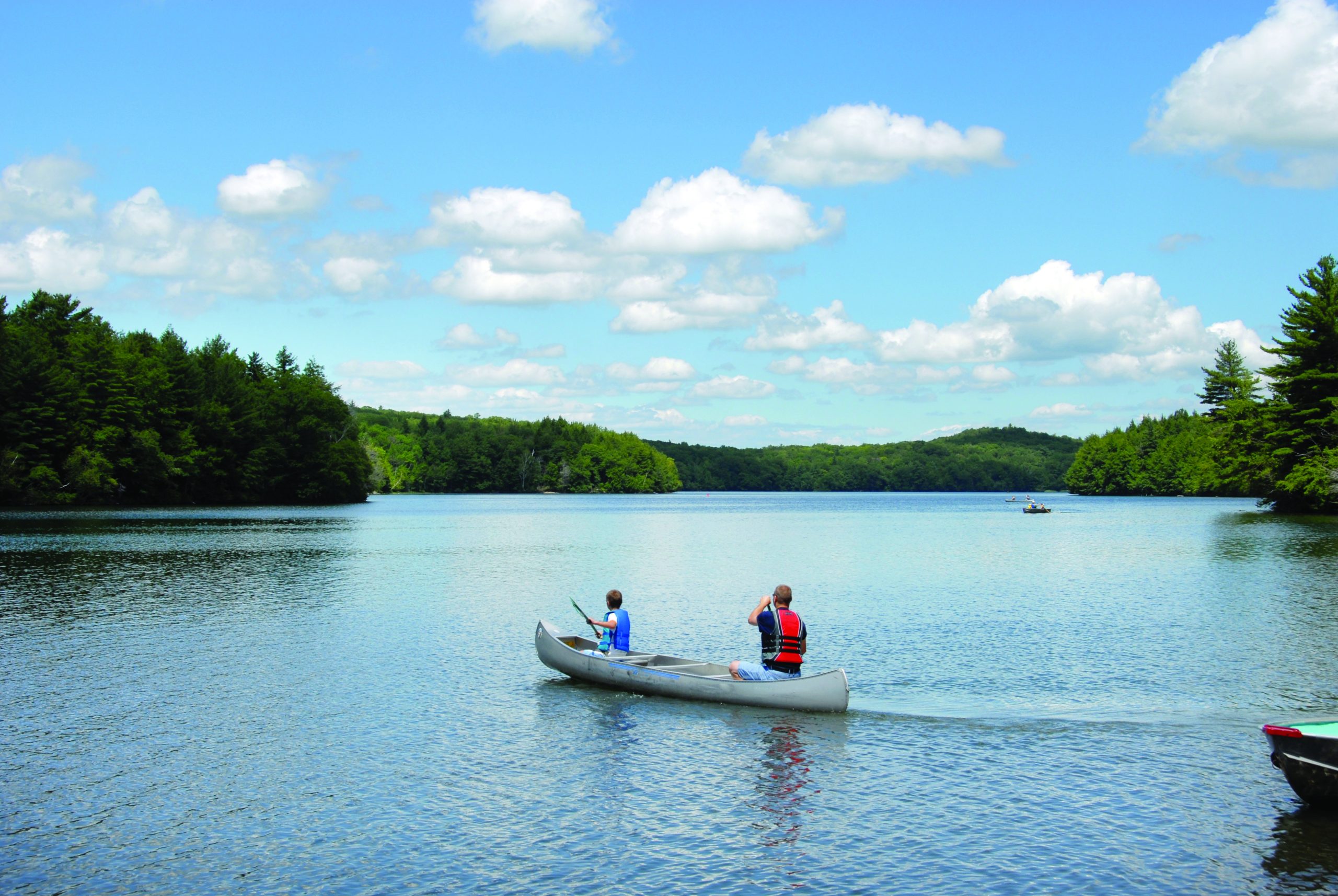 Two men canoe on a lake, with pine trees and blue skies surrounding.