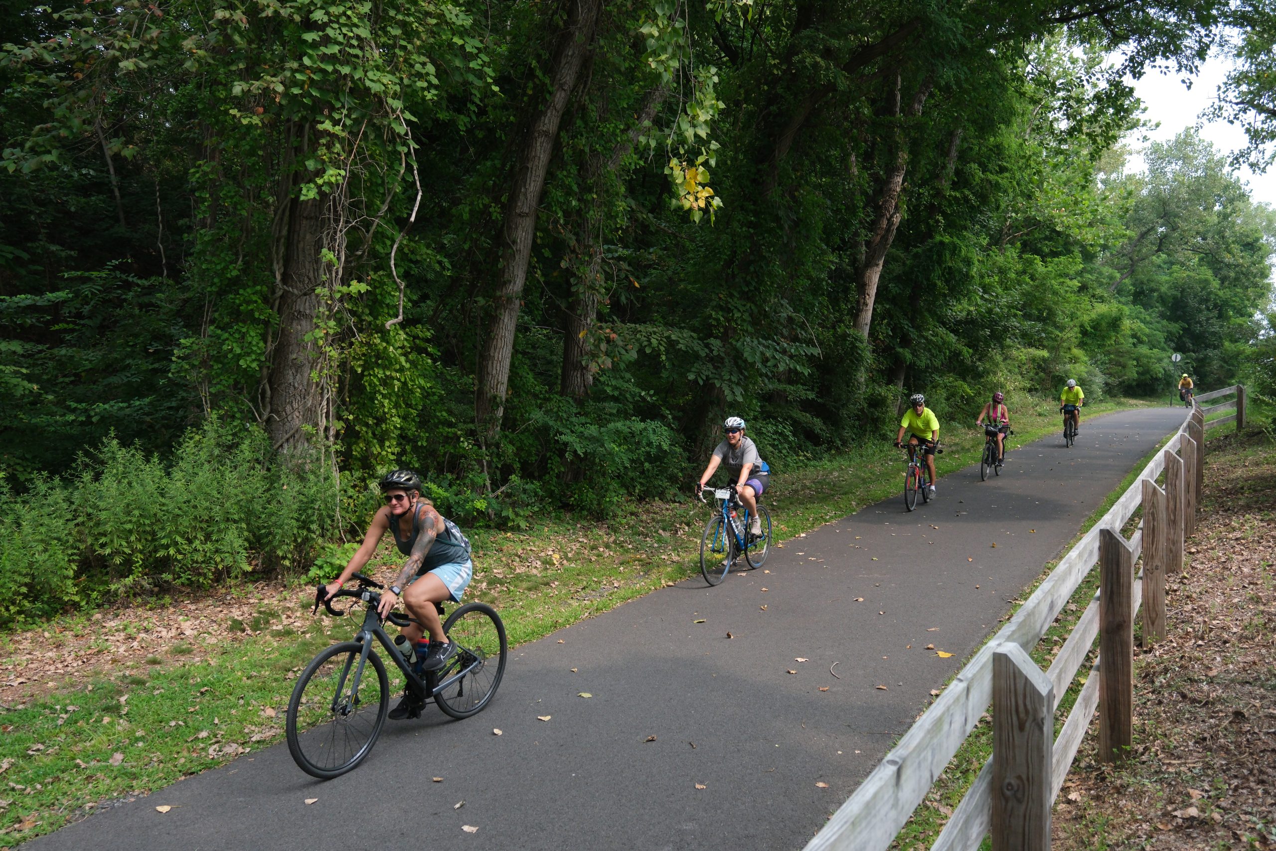 A group of cyclists travel along a paved path in the woods.