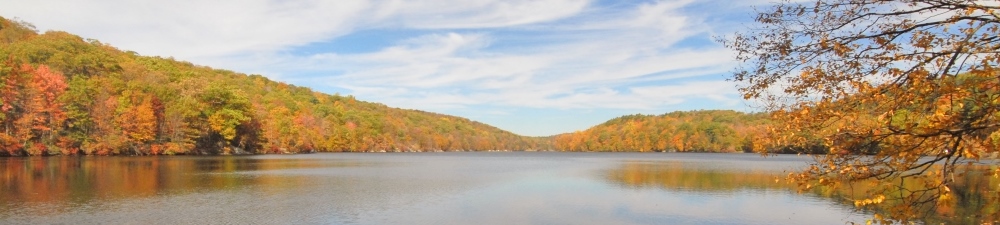 Fahnestock.jpg
