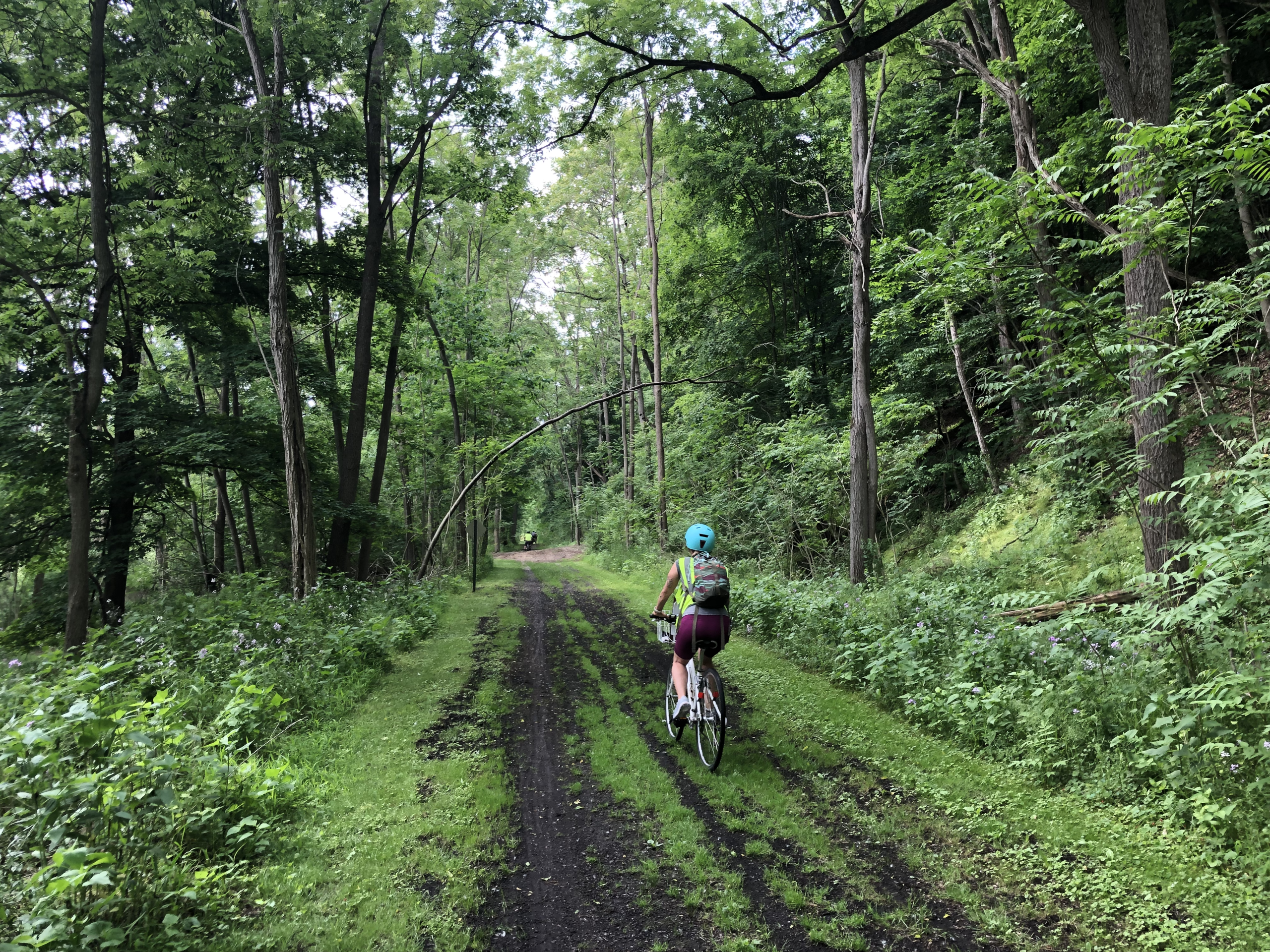 A cyclist travels along the Genesee Valley Greenway in Mt. Morris.