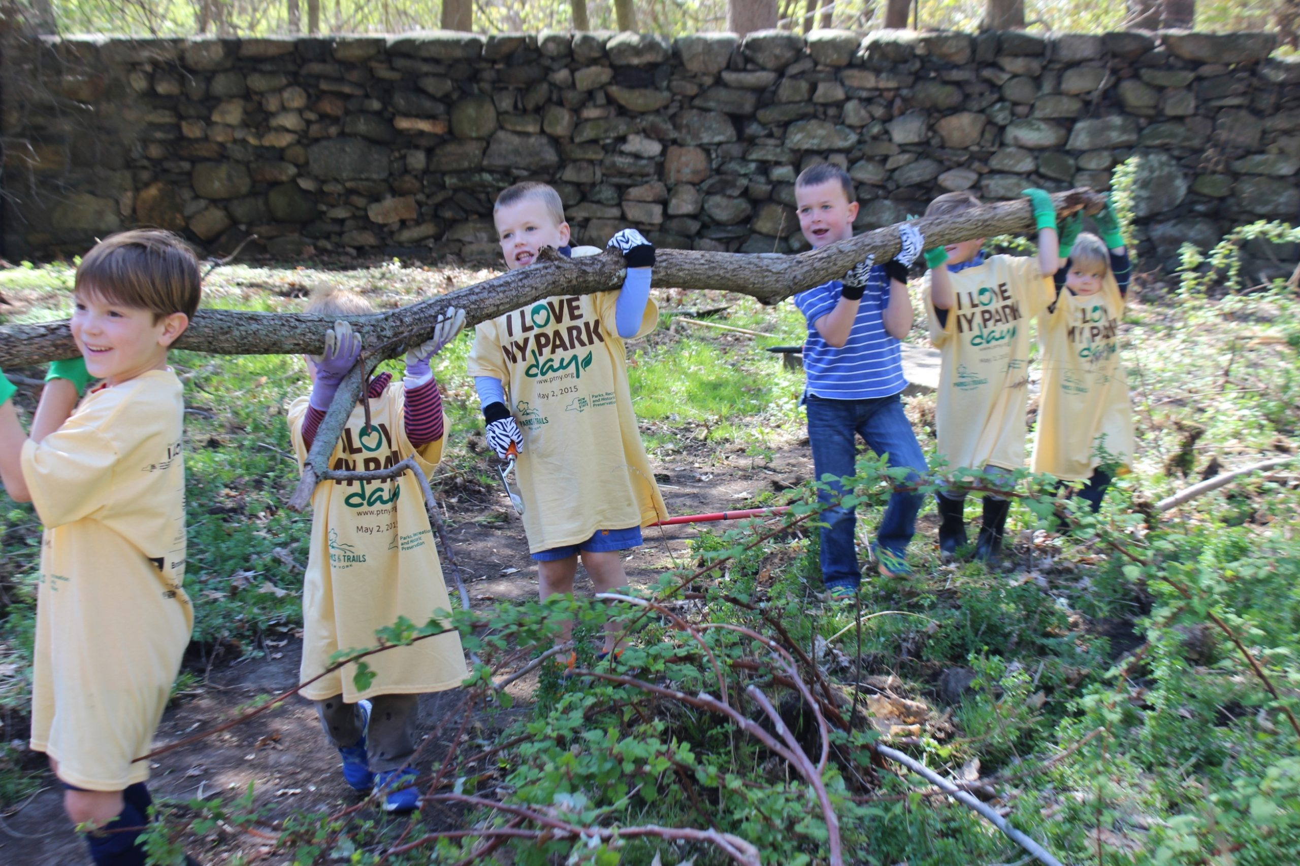 A group of volunteers pick up litter along a shoreline.