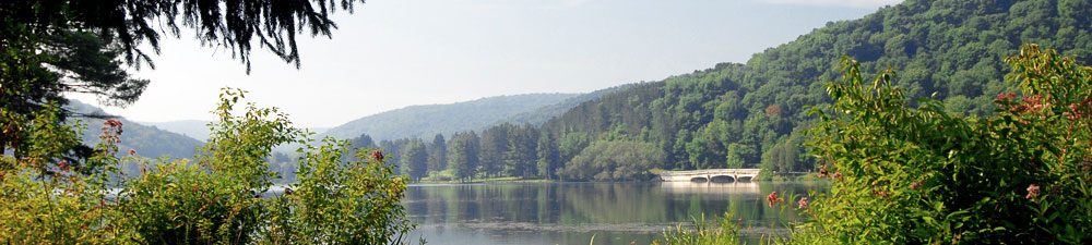 allegany-state-park-banner.jpg