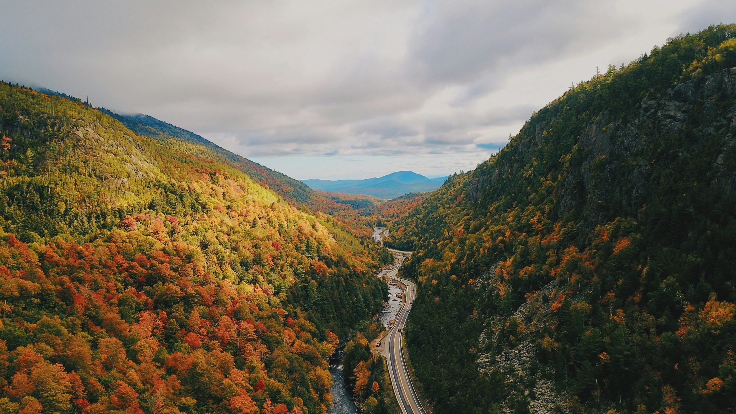 Fall foliage